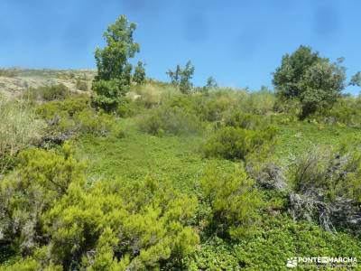 El Ocejón-Reserva Nacional Sonsaz;viajes en autocar por españa vamos de senderismo forros polares 